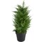 Northlight Real Touch™ Artificial Cedar Pine Petite Arborvitae Tree in Round Pot - 2' - Unlit